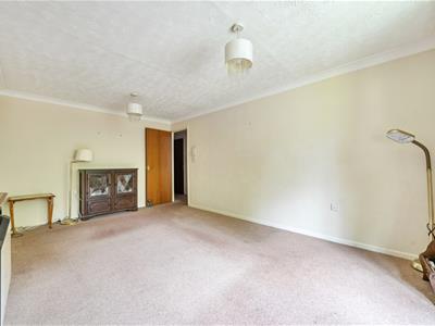 Picture 3